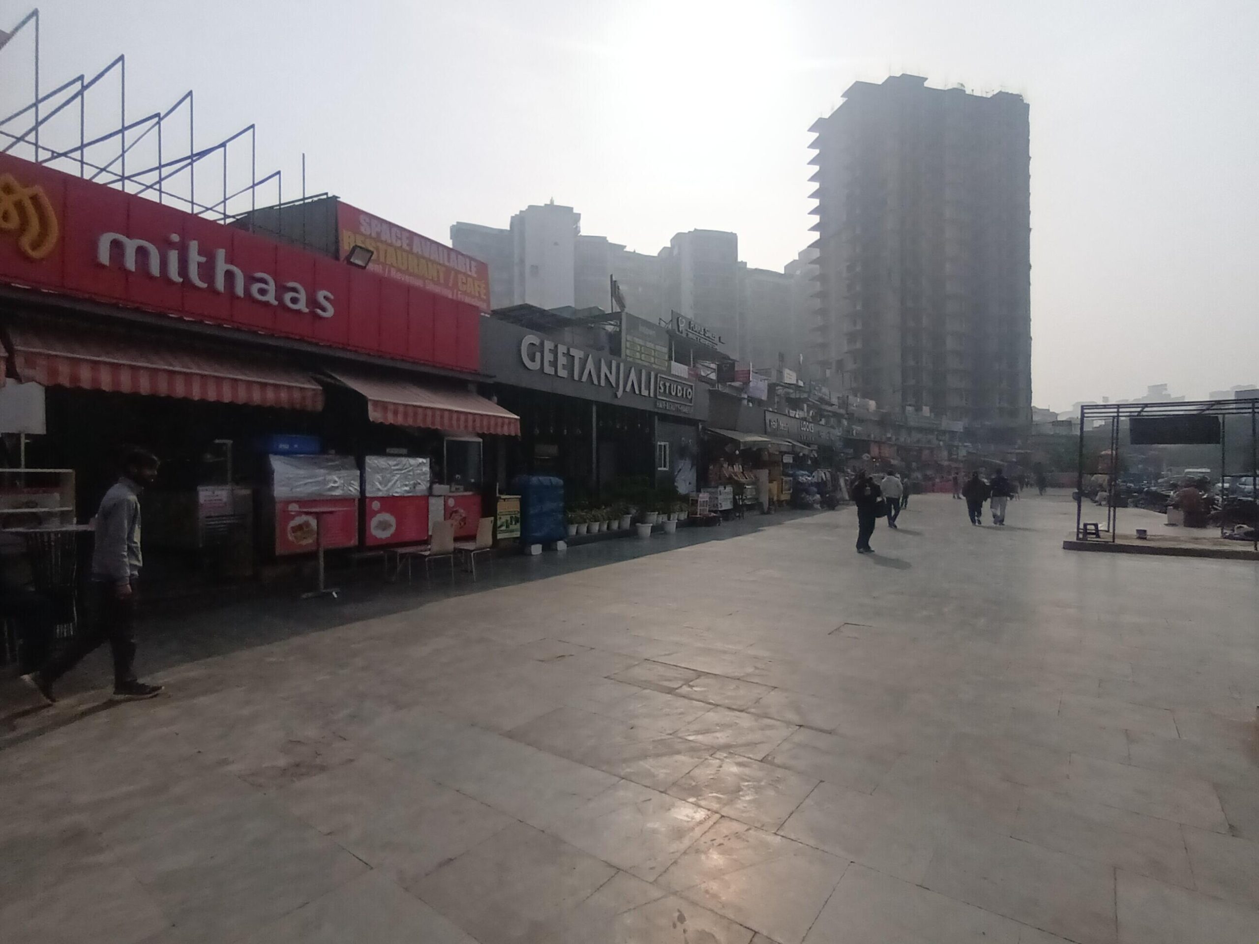 Gardenia Glory Society Landscaped Themed Gardens