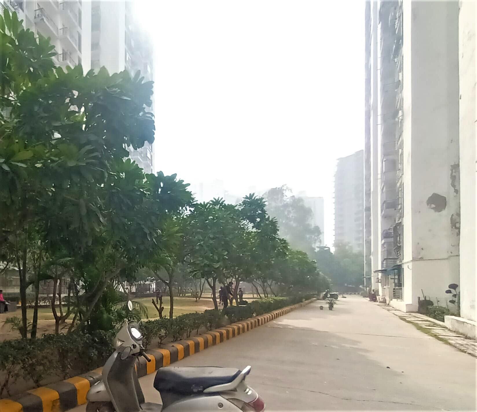 Gardenia Glory Society Night Perspective Tower View